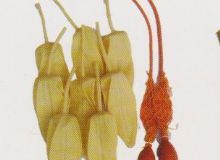 點(diǎn)擊查看詳細(xì)信息<br>標(biāo)題：取氣樣球膽 閱讀次數(shù)：175